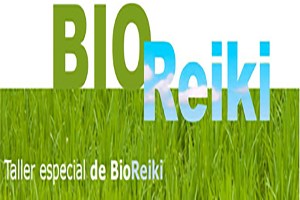 bioreiki3